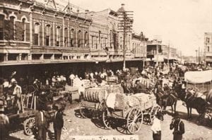 Cotton Exhibit